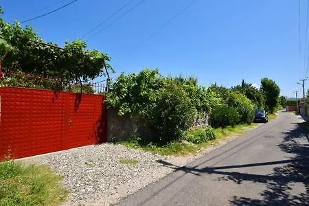 Shkoza Shkodër